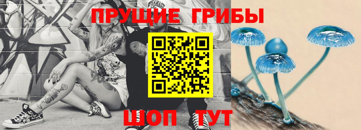 Белореченск  Галлюциногенные грибы Psilocybine cubensis  Вход с VPN 